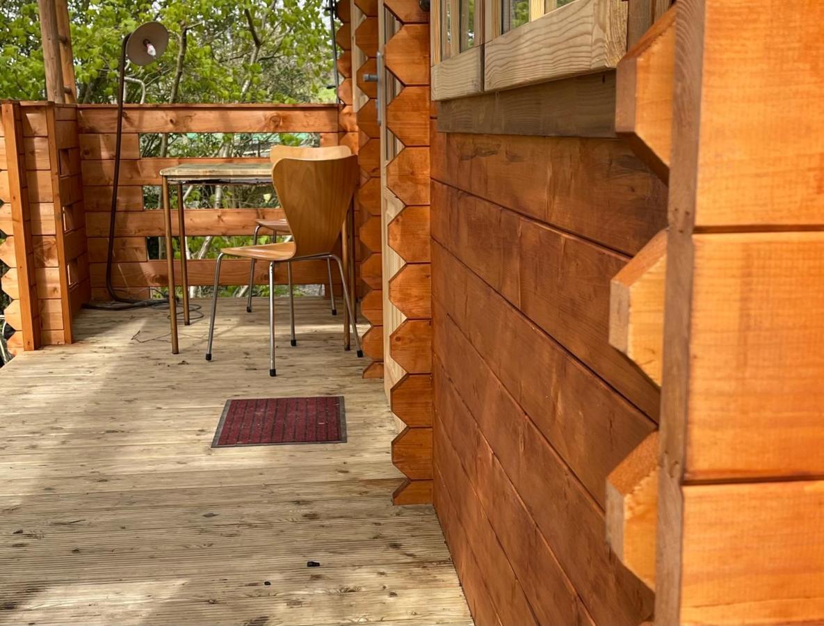 Retro Private Lodge With Hot Tub Nr Dartmoor นิวตันแอบบ็อต ภายนอก รูปภาพ
